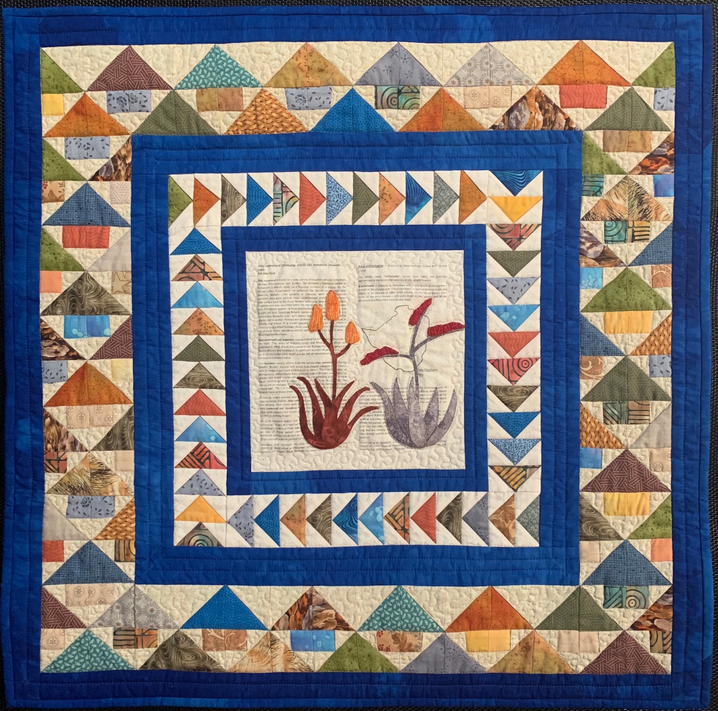 "Allo, Aloe from Zimbabwe" by Coleen Thackray