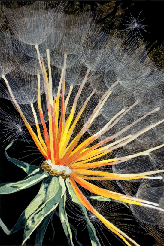 "Dandelion" by Kate Themel (Image courtesy of Kate Themel)