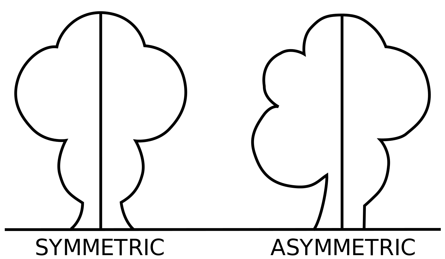 Symetry Illustration via Sophia.com