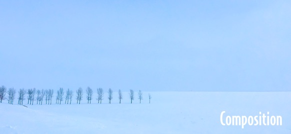 Composition - Ricky Tims' photo