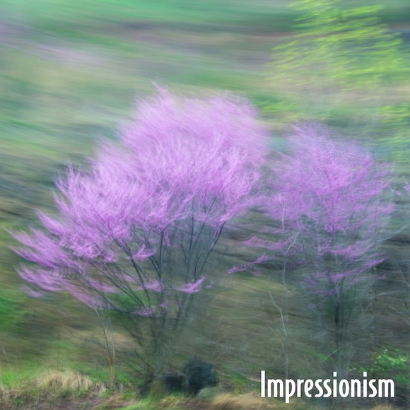 Impression - Ricky Tims' photo
