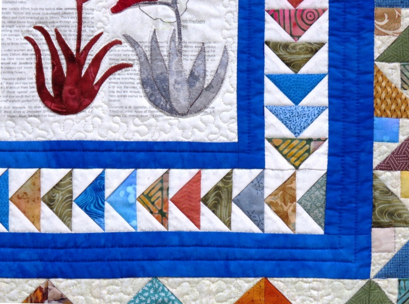 "Allo, Aloe from Zimbabwe" by Coleen Thackray - Detail