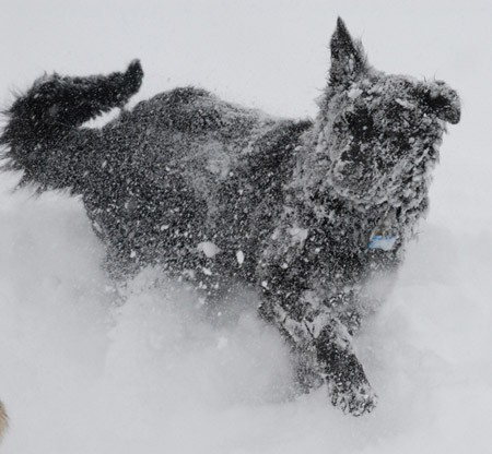 25_592735.jpg 25_592735.jpg