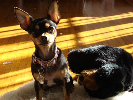 27_978712.jpg 27_978712.jpg