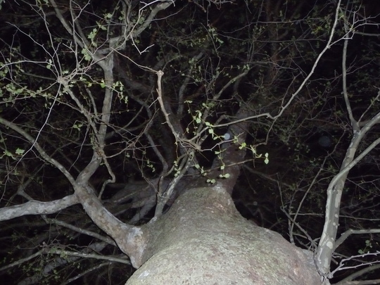 1863_p1030118.jpg 1863_p1030118.jpg