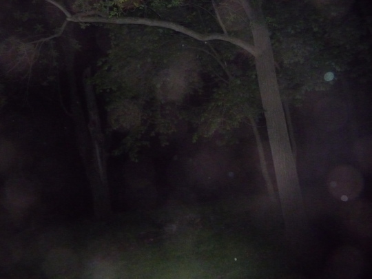 1863_p1030133.jpg 1863_p1030133.jpg