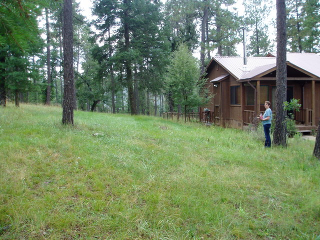 84_house_in_summer.jpg 84_house_in_summer.jpg