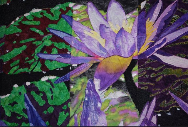 4344_lily1.jpg 4344_lily1.jpg