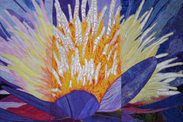 4344_lily_2.jpg 4344_lily_2.jpg