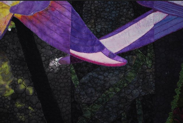 4344_lily_3.jpg 4344_lily_3.jpg