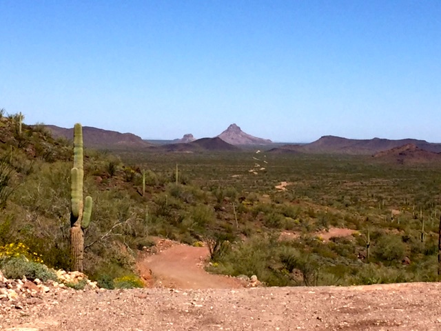 Arizona Landscape