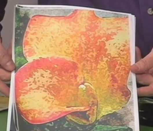 2161_bethwheeler.jpg 2161_bethwheeler.jpg