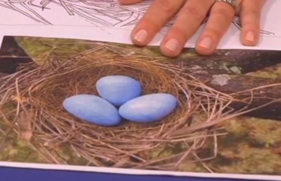 2161_susanbknapp.jpg 2161_susanbknapp.jpg