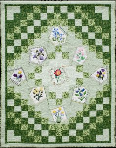 Colorado Wildflowers