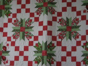 Strawberry Meadow Lily