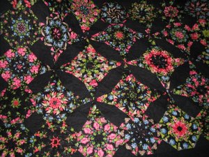 hummingbirds and fuchsia